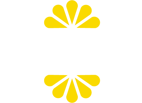 Saluti
